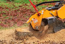 Best Seasonal Cleanup (Spring/Fall)  in Watertown, FL