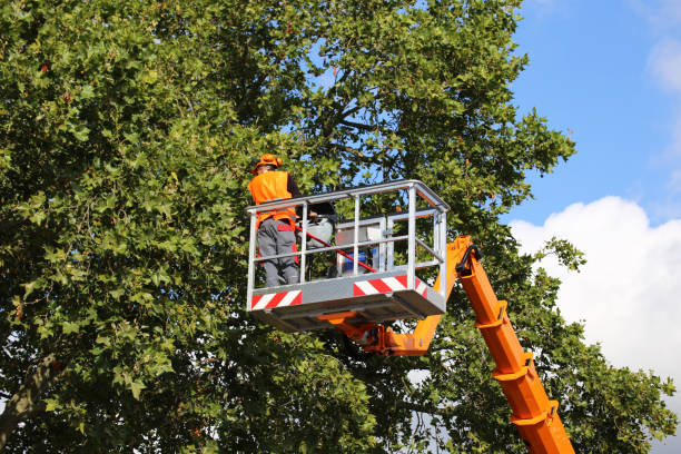 Best Weed Control  in Watertown, FL